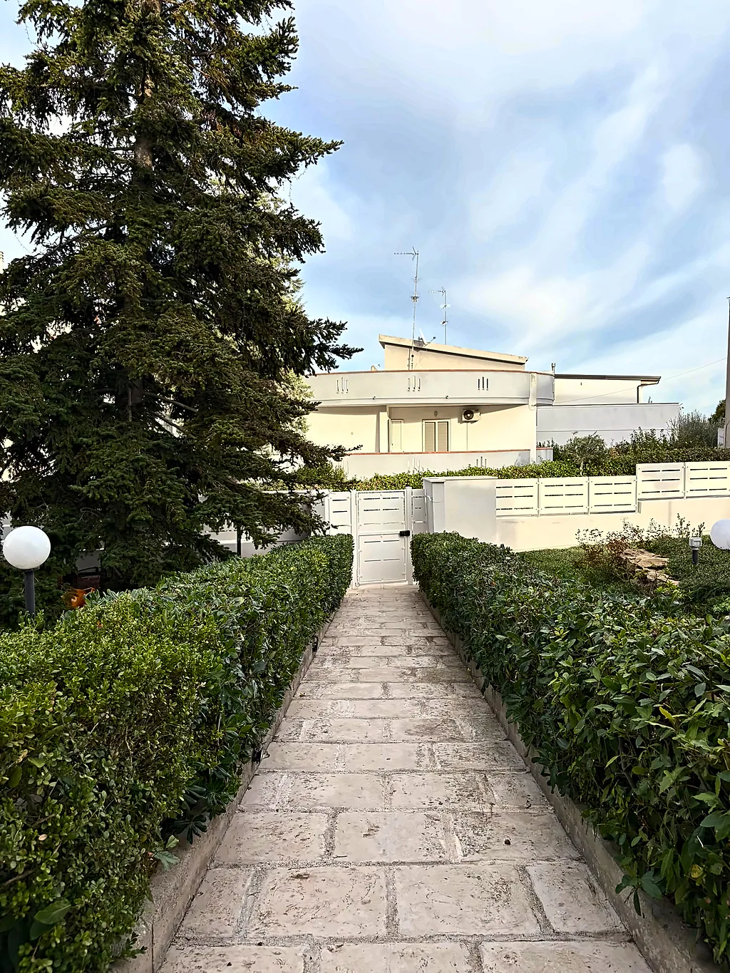 Vialetto lastricato in pietra tra due siepi, con un'alta conifera sulla sinistra